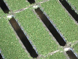 滑り止め効果が高い表面