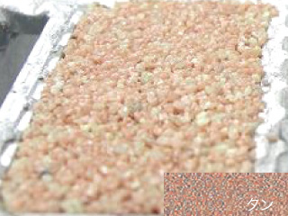 ビューティフルグレーチングカラーサンプルタン