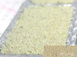 ビューティフルグレーチングカラーサンプルクリーム