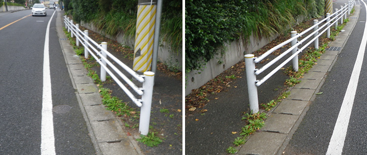 歩道部とコンクリート側溝の境界から生える雑草